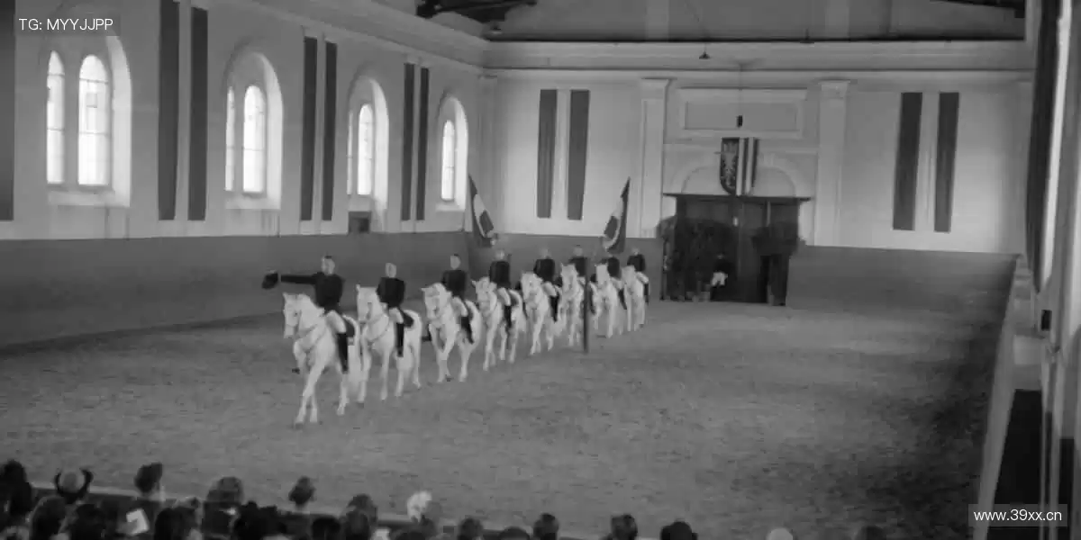 ✨ 突破极限,超越自我!体育精神,由你我共同书写!